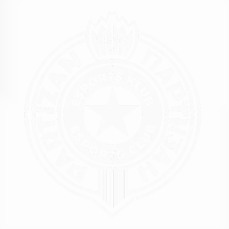 Partizan Esports