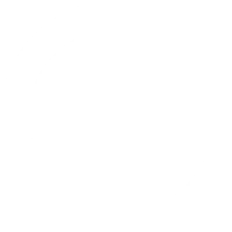 TSM