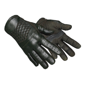 ★ Driver Gloves | Racing Green (Minimal Wear)