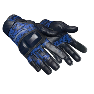 ★ Moto Gloves | Polygon (Field-Tested)