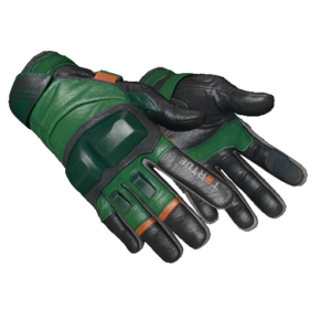 ★ Moto Gloves | Turtle (Field-Tested)